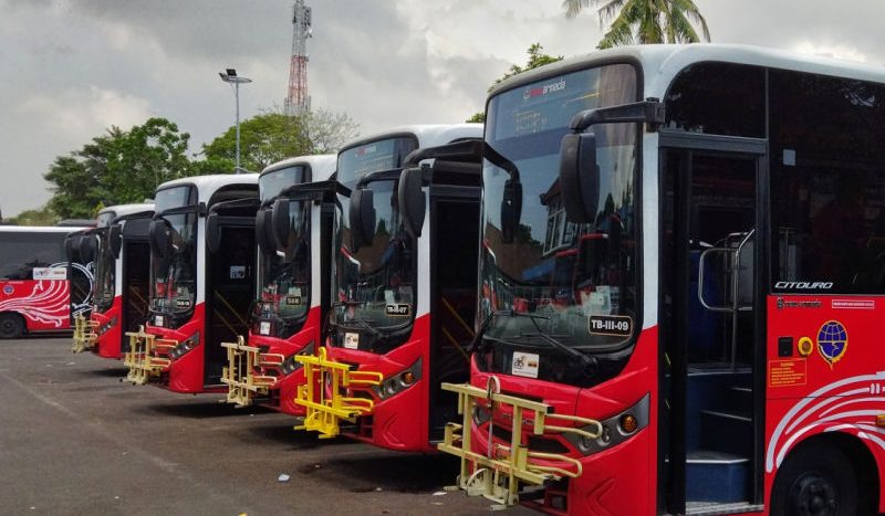 Bali Public Transport System