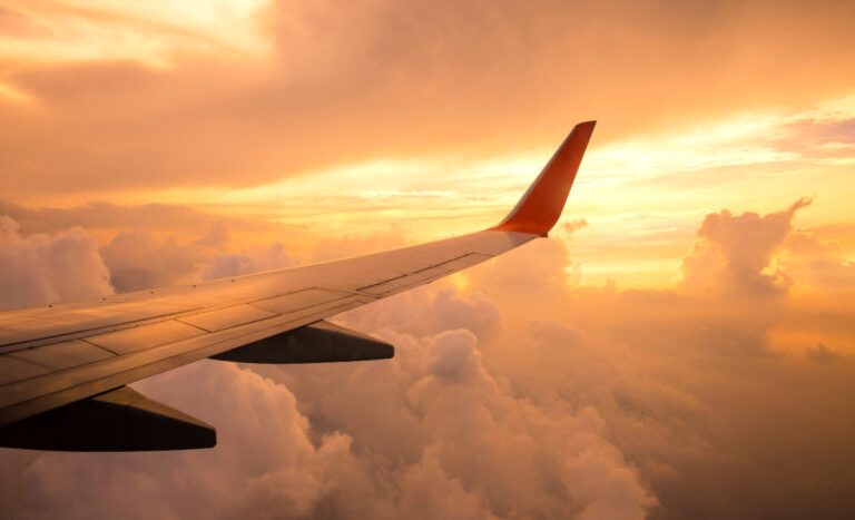 Bali Tourist Deportation