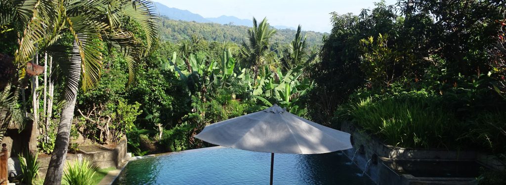 North Bali Estate Villa with private pool