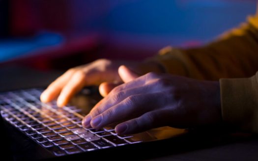 Bali Cyber Scam