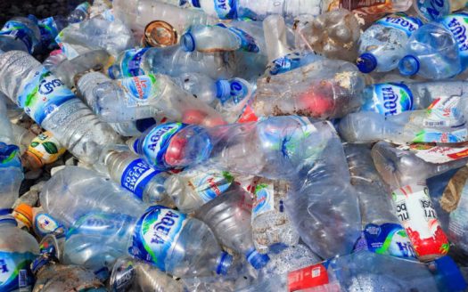 Bali Plastic Ban Trash