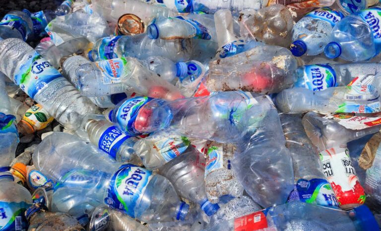 Bali Plastic Ban Trash