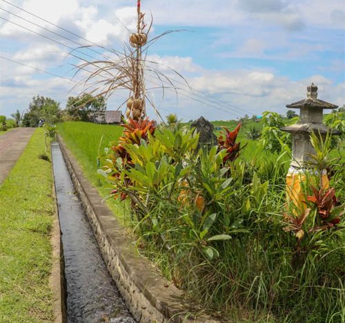 Bali Tourism Land Conversion Law