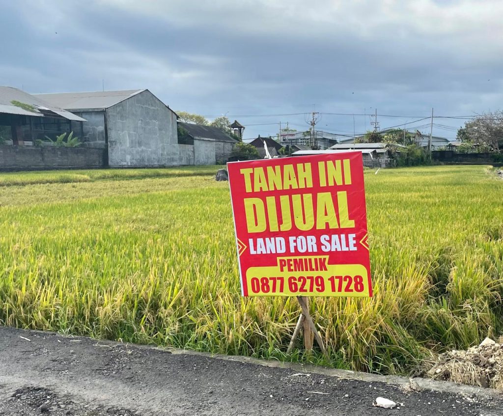 Bali Building Ban