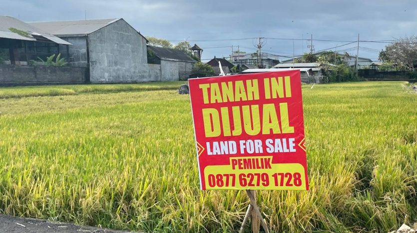 Bali Building Ban