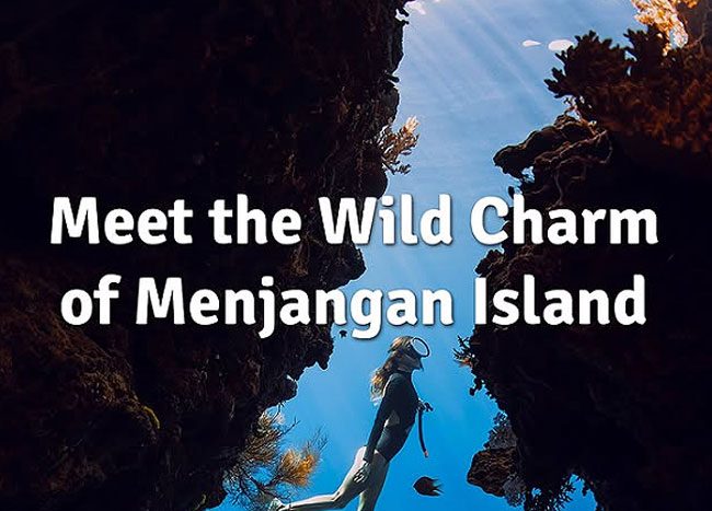 North Bali Marine Ecosystem