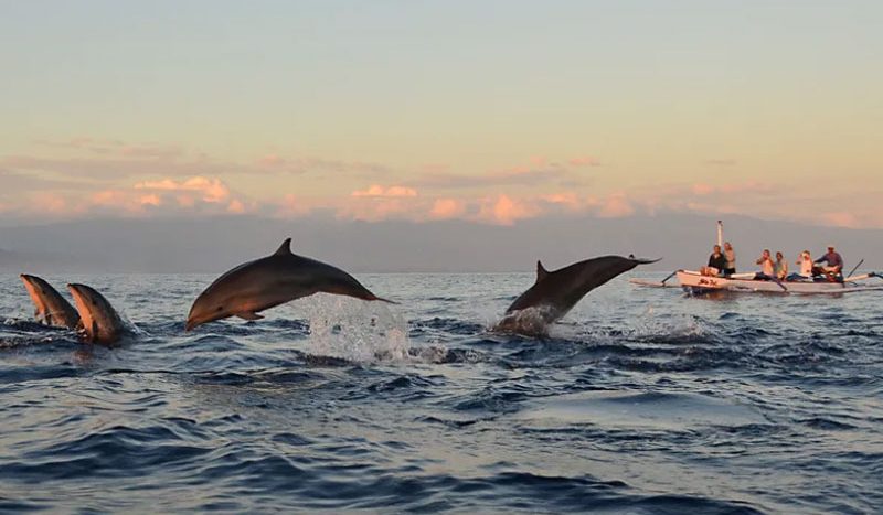 Bali Tourism Focus 2026