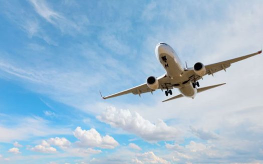 Bali Airport Biosecurity