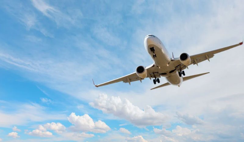 Bali Airport Biosecurity